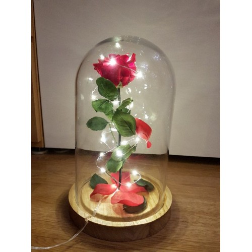 Rosa encantada roja - La Rosa de la Bella y la Bestia Tamaño Mini (17